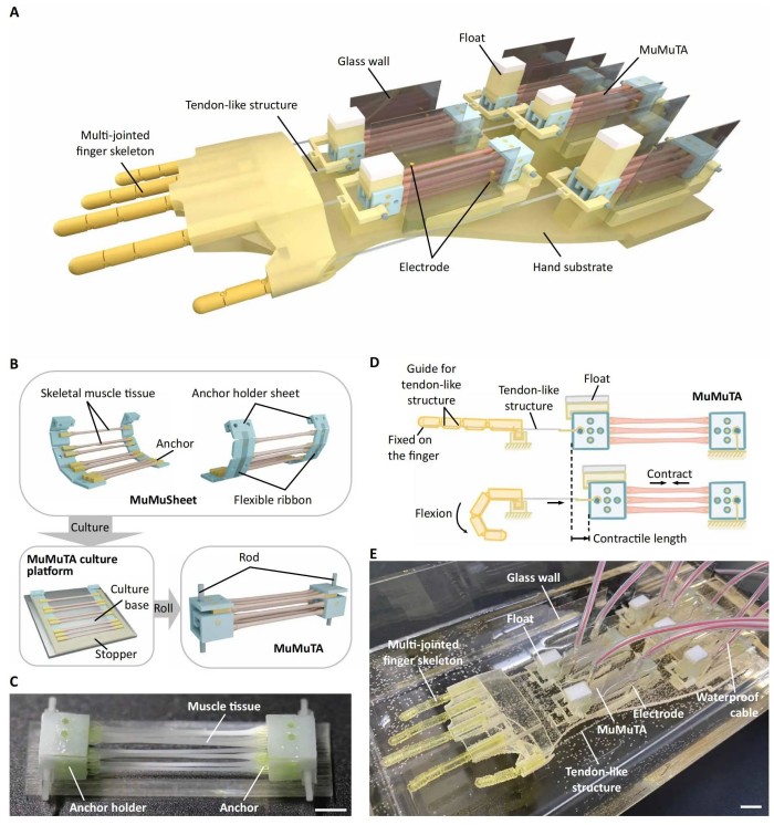 1741058624543344.jpg 微信圖片_20250303112646.jpg