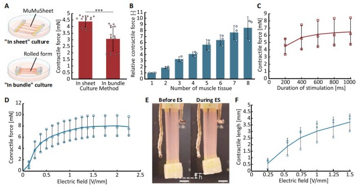 1741058645527184.jpg 微信圖片_20250303112704.jpg