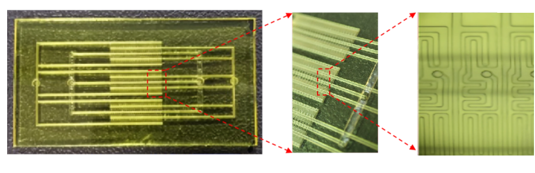 1741059247876149.png 微信圖片_20250304112823.png