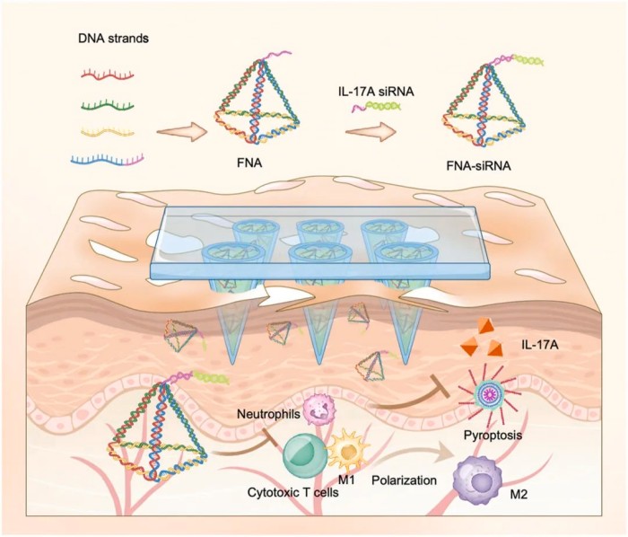 1741078773954096.jpg 640.jpg