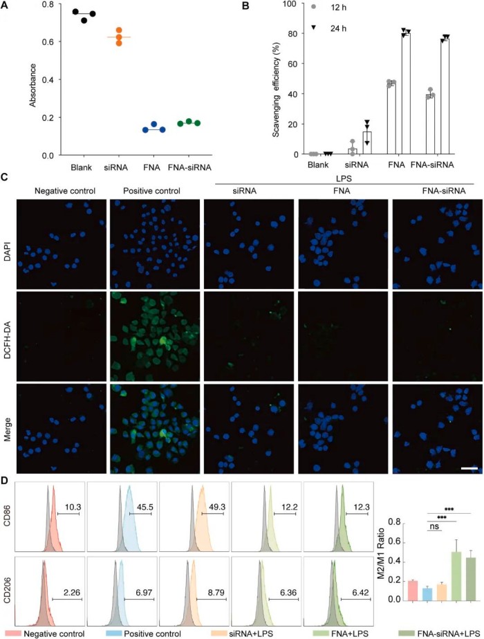 1741078807998674.jpg 微信圖片_20250304165646.jpg