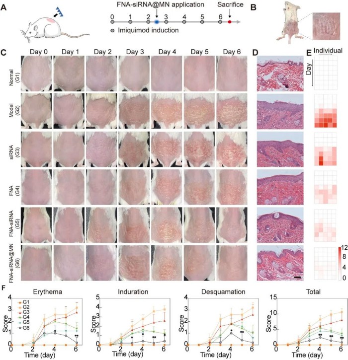 1741078872570492.jpg 微信圖片_20250304165700.jpg