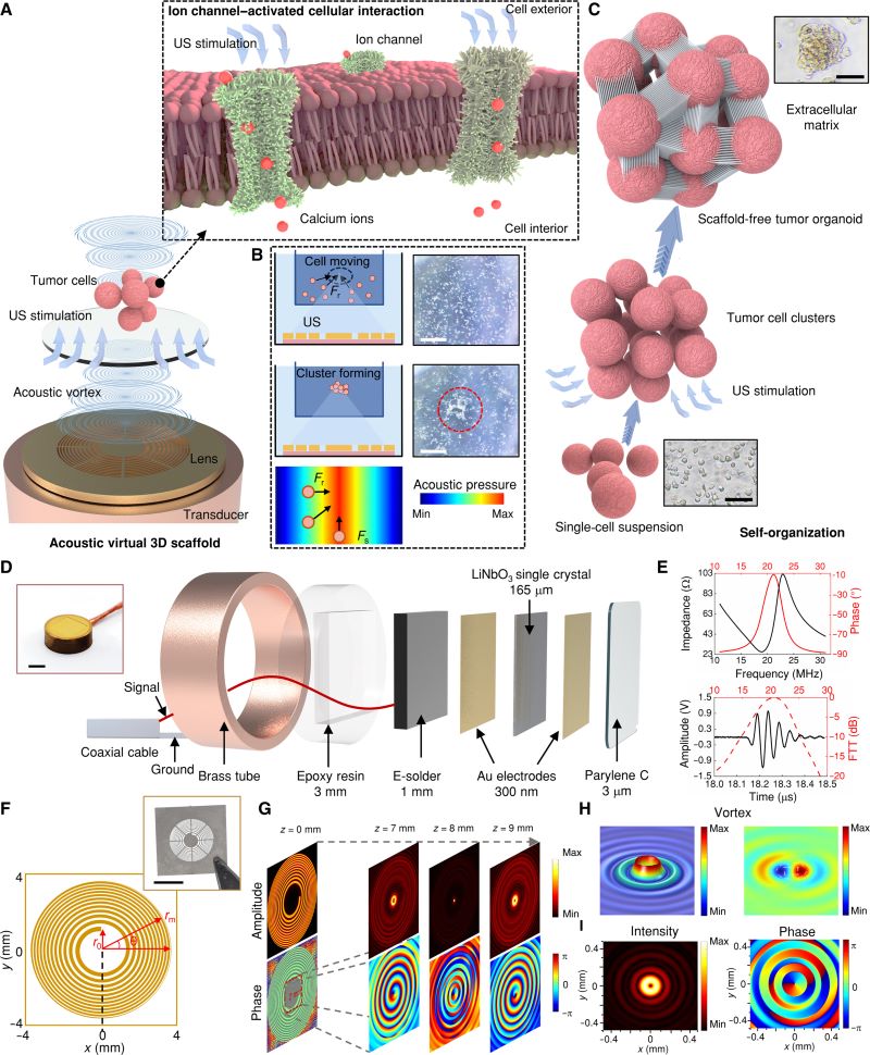 1742351305628195.jpg 微信圖片_20250319100143.jpg