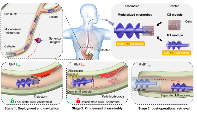 1742448572242715.png 微信圖片_20250320104128.png