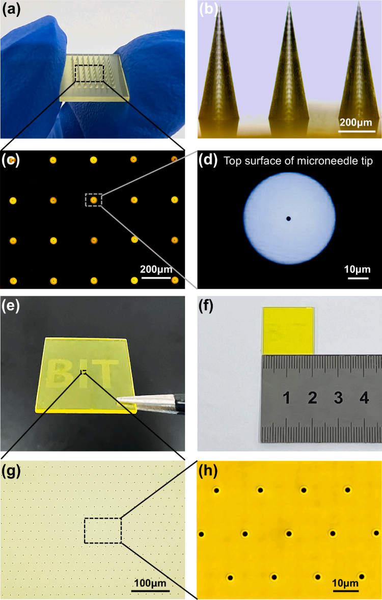 1744099587754550.png 微信圖片_20250408153446.png