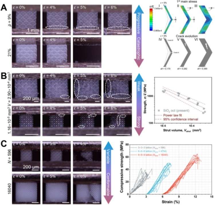 1744278942924455.jpg 微信圖片_20250410175344.jpg