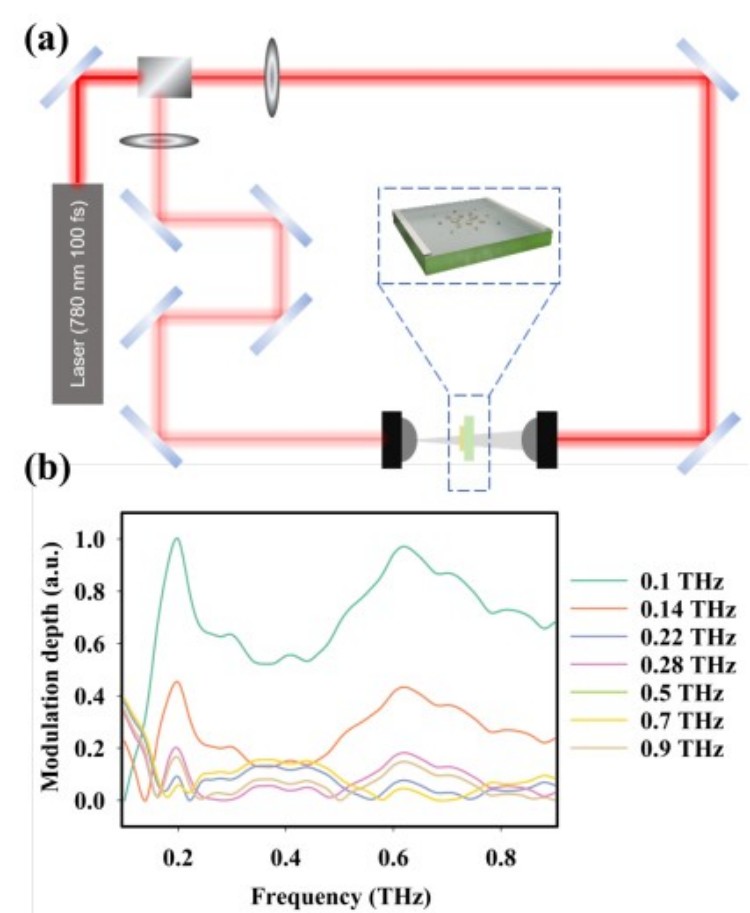 1744358859182113.jpg 微信圖片_20250411160524.jpg