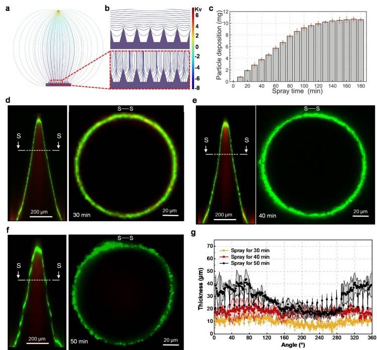1744684397857063.jpg 微信圖片_20250415103127.jpg