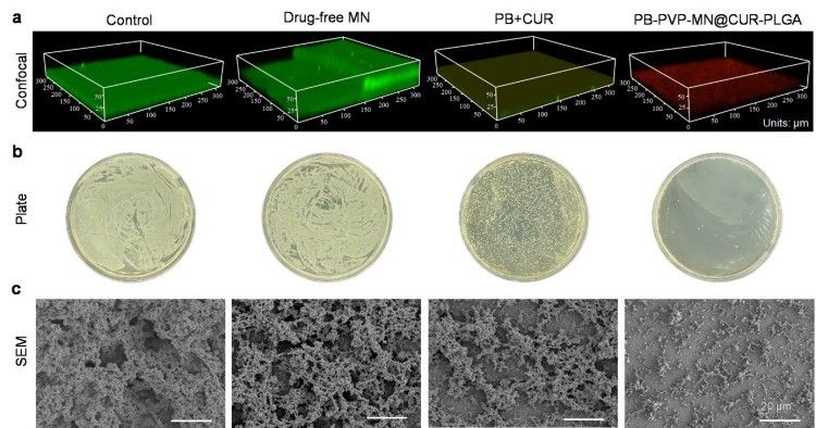 1744684419859969.jpg 微信圖片_20250415103132.jpg