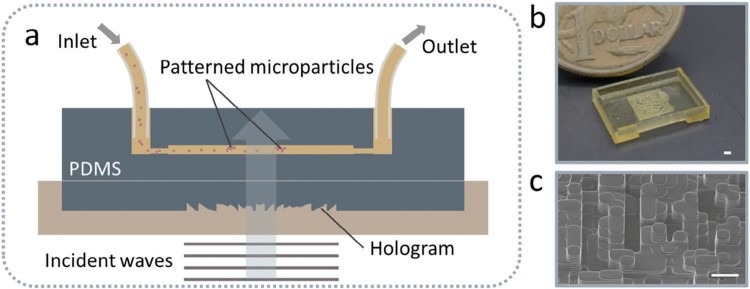1744794493601020.jpg 微信圖片_20250416170312.jpg
