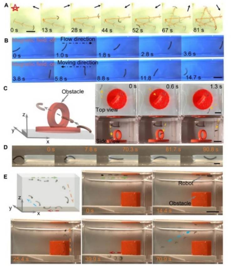 1745204797726126.jpg 微信圖片_20250421110458.jpg
