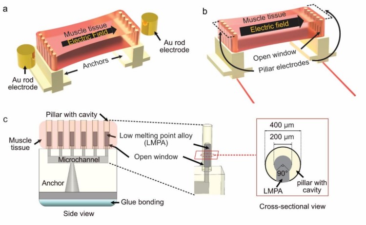 1745371941723911.jpg 微信圖片_20250423093157.jpg