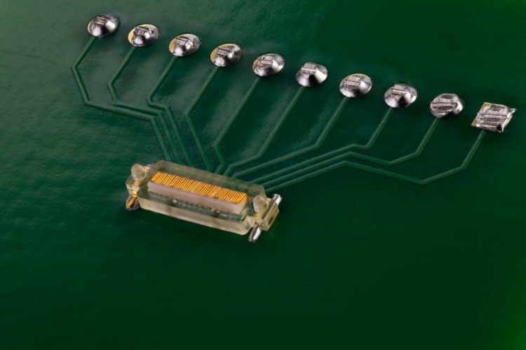 1745372501509624.jpg 微信圖片_20250423094100.jpg