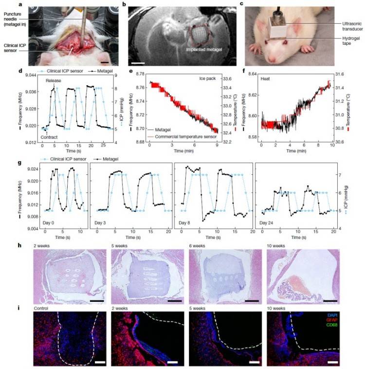 1745373216825143.jpg 微信圖片_20250423095222.jpg
