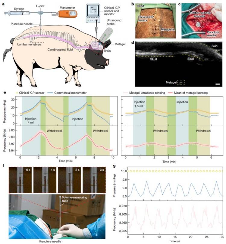 1745373226999163.jpg 微信圖片_20250423095225.jpg
