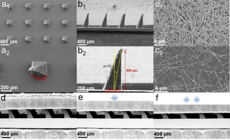 1745723265256890.jpg 微信圖片_20250427110302.jpg