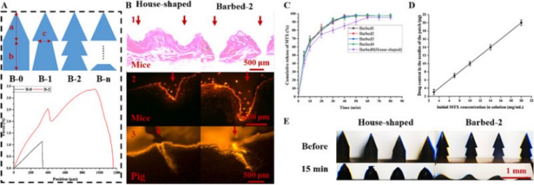 1745992326143519.jpg 微信圖片_20250430135042.jpg