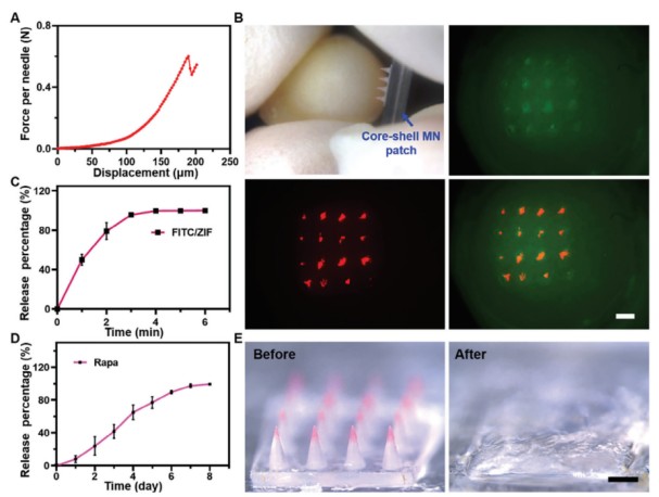 1746003761504588.jpg 微信圖片_20250430165726.jpg