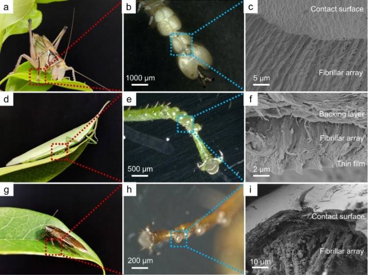 1746598865998965.jpg 微信圖片_20250507141949.jpg