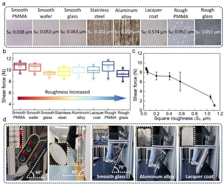 1746598917520110.jpg 微信圖片_20250507142000.jpg