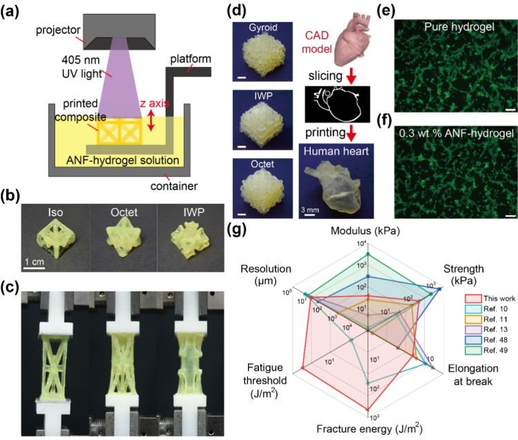 1746755035354873.jpg 640.jpg