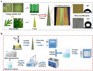 1749002869117772.png 微信圖片_20250604100717.png