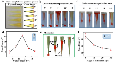 1749002899170929.png 微信圖片_20250604100722.png