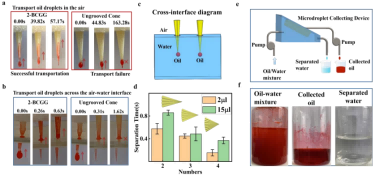 1749003069890253.png 微信圖片_20250604100742.png