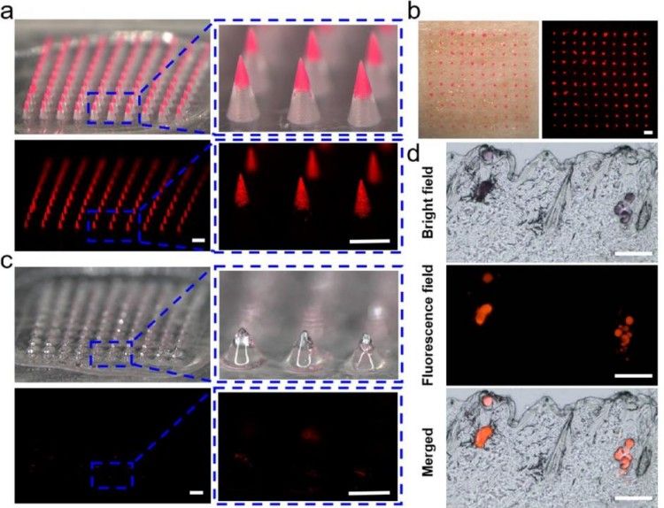 1749459704945735.jpg 微信圖片_20250609165922.jpg