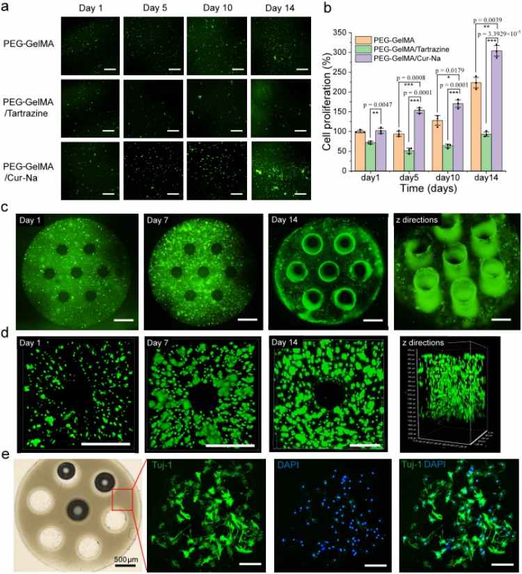 1749461573786568.jpg 微信圖片_20250609173002.jpg