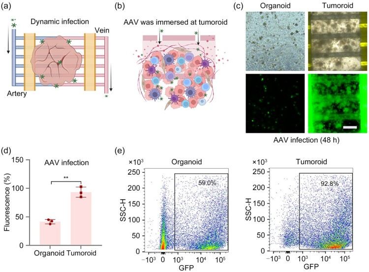 1749611175377542.jpg 微信圖片_20250611110340.jpg