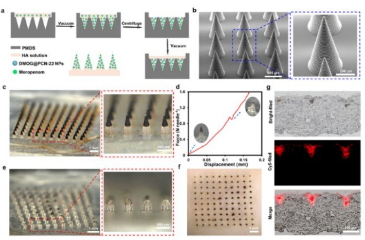 1749698373312815.jpg 微信圖片_20250612111806.jpg