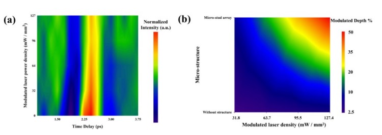 1749708021904657.jpg 微信圖片_20250612135742.jpg