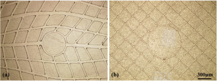 1750209804572611.jpg 微信圖片_20250618092130.jpg