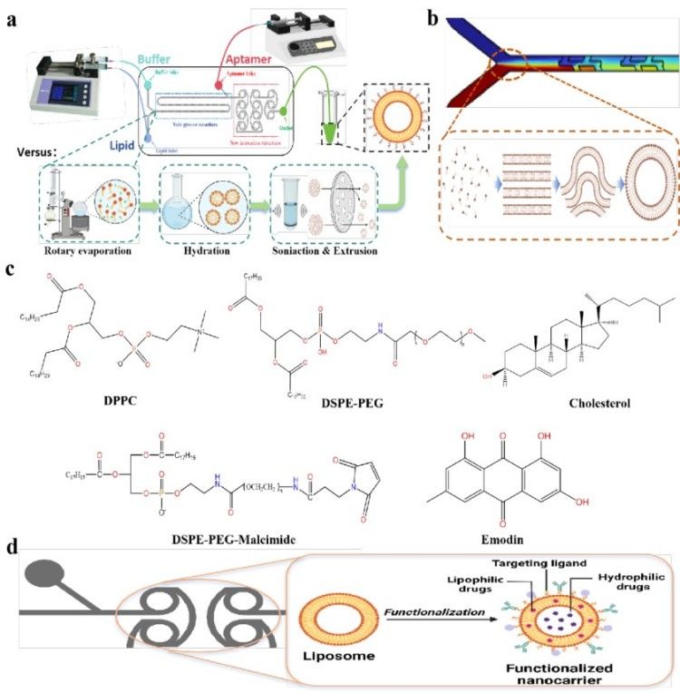1751420052531317.jpg 微信圖片_20250702092001.jpg