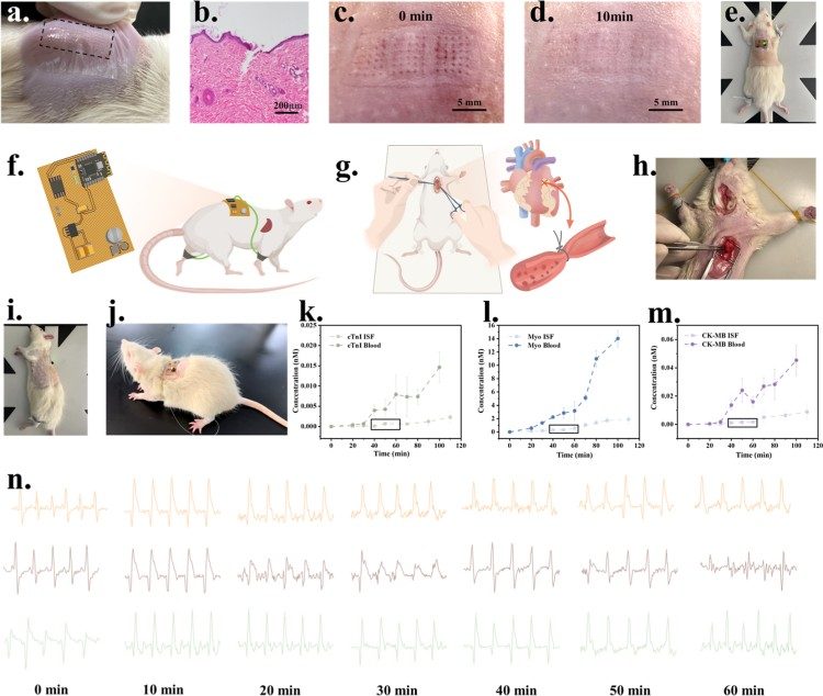1752198168360924.jpg 微信圖片_20250711093834.jpg