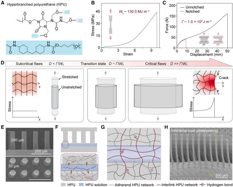1752630308719046.jpg 微信圖片_20250716092618.jpg