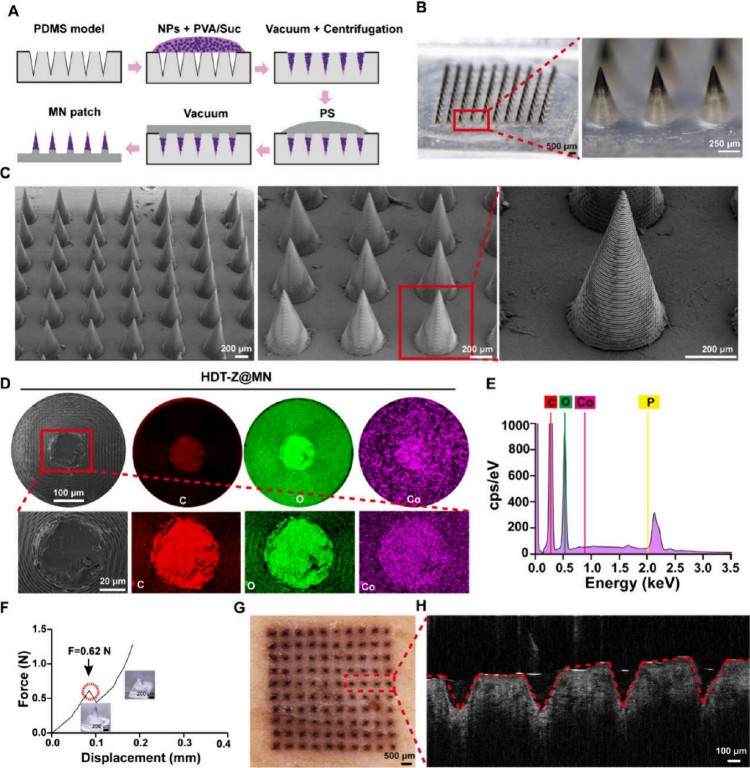 1753060964673268.jpg 微信圖片_20250721091657.jpg