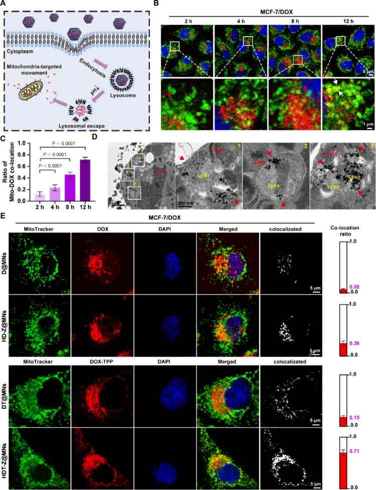 1753060975552500.jpg 微信圖片_20250721091701.jpg