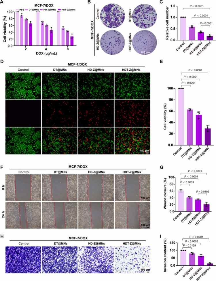 1753060996197932.jpg 微信圖片_20250721091705.jpg