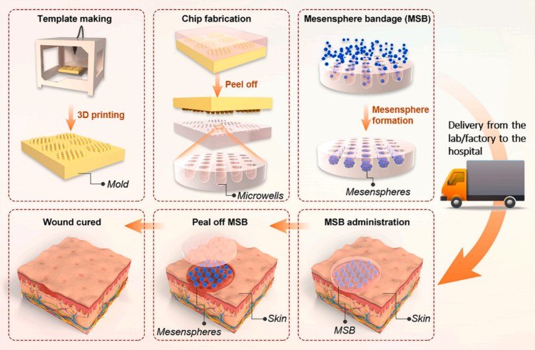 1753839989267654.jpg 微信圖片_2025-07-30_094457_427.jpg