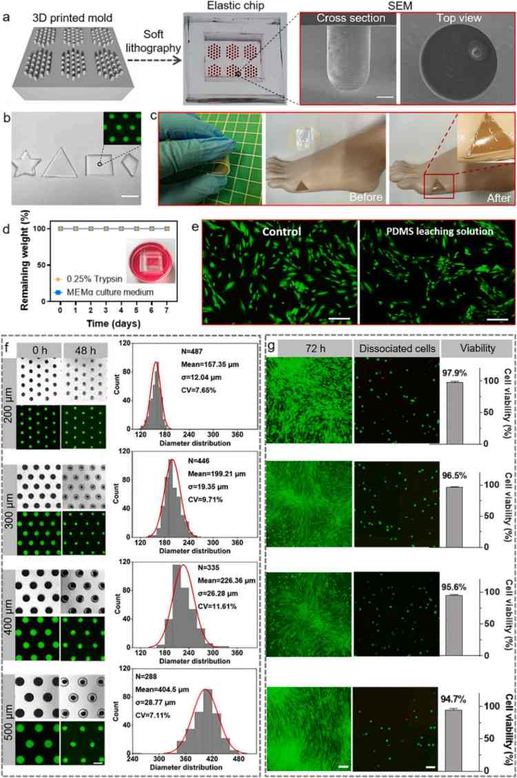 1753839997682670.jpg 微信圖片_2025-07-30_094502_511.jpg