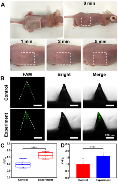 1754880597718503.png 微信圖片_2025-08-11_092711_749.png