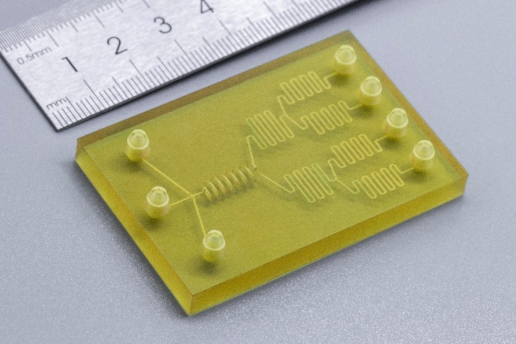 1756102662230569.jpg 01 微流控芯片(1).jpg