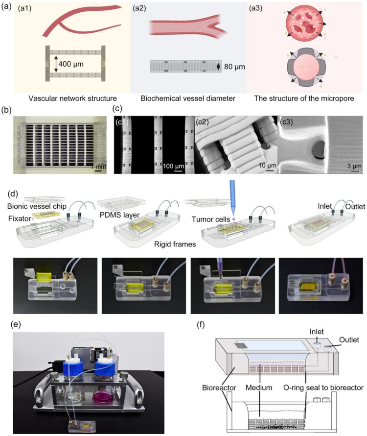1757309674213216.jpg 微信圖片_2025-09-08_132057_895.jpg