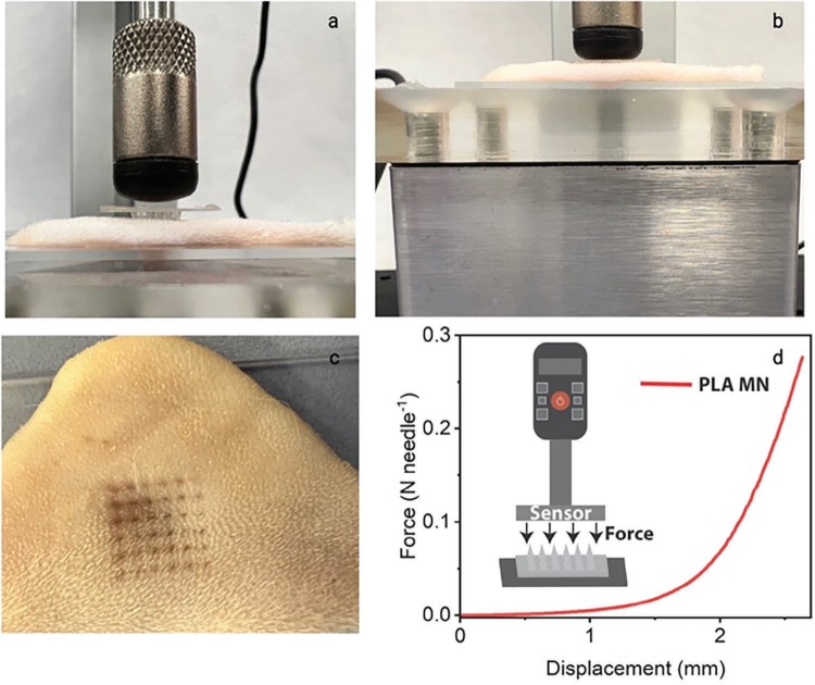 1757918414702777.jpg 微信圖片_2025-09-15_143703_157.jpg