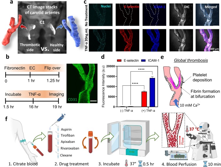 1758521262520111.jpg 微信圖片_2025-09-22_140013_237.jpg