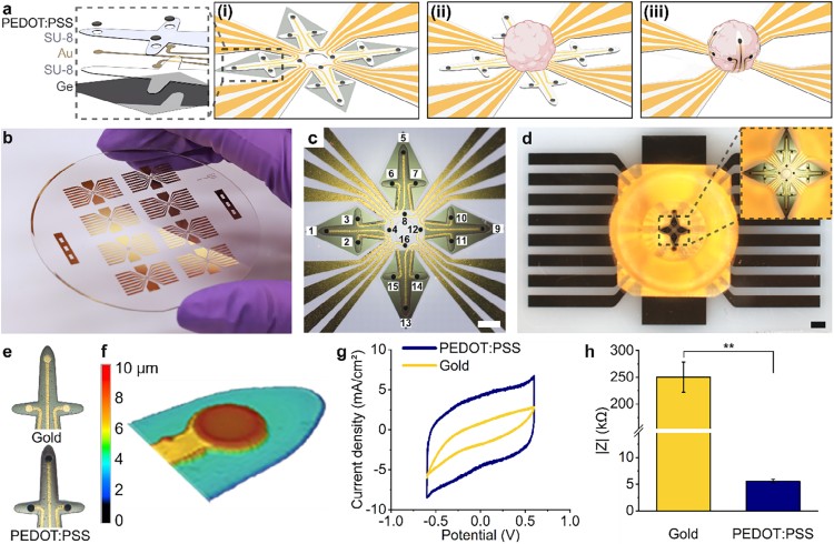 1760926209151463.jpg 微信圖片_2025-10-20_100432_074.jpg