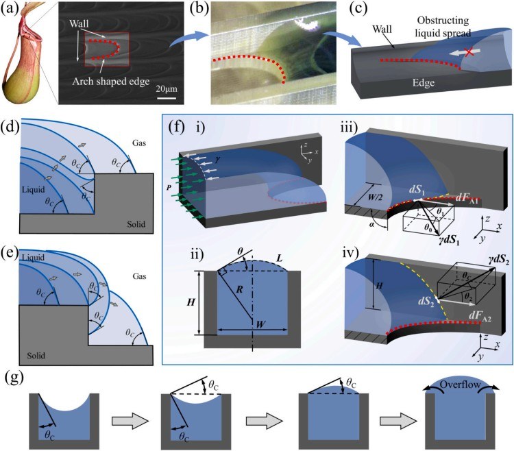 1762312372359840.jpg 微信圖片_2025-11-05_110530_939.jpg