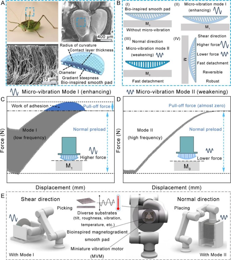 1765420578334996.jpg 微信圖片_2025-12-11_102220_601.jpg